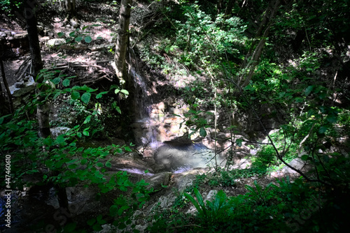 Ruscello lungo il sentiero per le cascate del Fosso di Teria a Secchiano nelle Marche photo