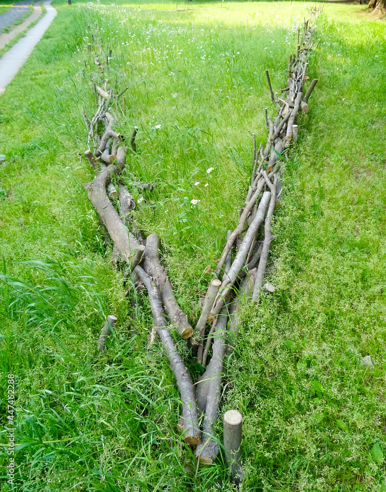 Fototapeta premium Stylish fence using the fallen tree