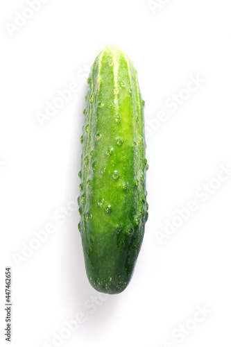 Fresh green cucumber