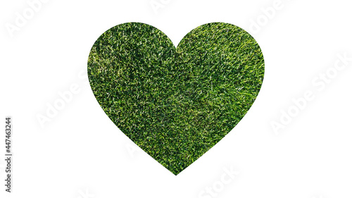 green grass heart  love environment 