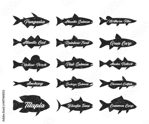 Set of fish logo or label templates. Retro styled fish silhouettes collection for fisheries, fishing, fish markets, packaging or advertising