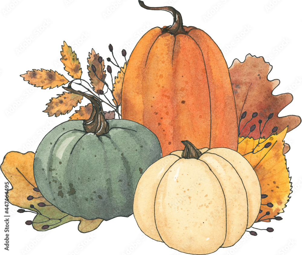 Fall sublimation, Watercolor thanksgiving pastel pumpkin leaf clipart,  Autumn farm clip art, Printable hand drawn digital download image  Illustration Stock | Adobe Stock