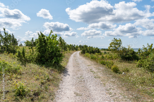 estonian summer