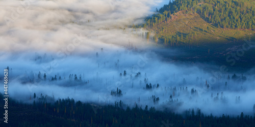 Morning fog covers the forest in the mountain valley after sunrise.