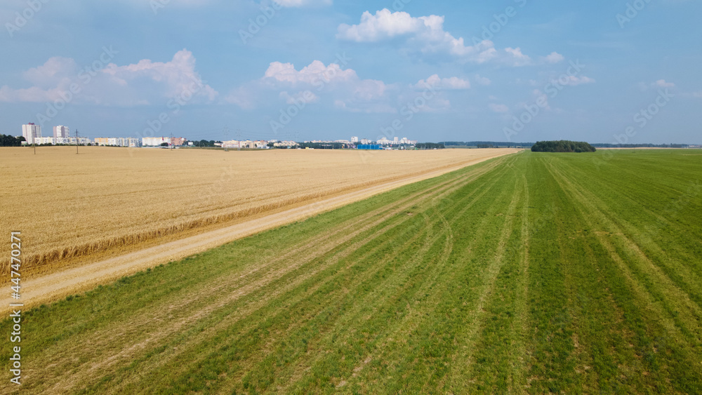 Ripe grain field. The border of a field with a green meadow is visible. The city is visible on the horizon. Aerial photography.
