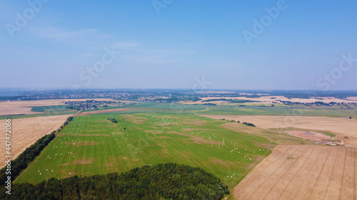 Top view of golden yellow summer fields © Payllik