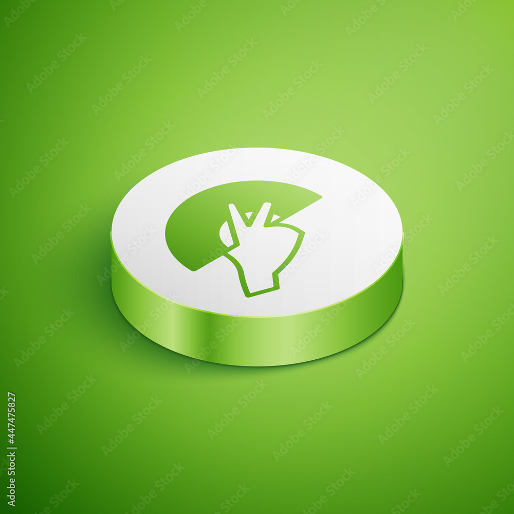 Isometric Female hand with open fan flamenco accessory icon isolated on green background. White circle button. Vector Isometric Female hand with open fan flamenco accessory icon isolated on green background. White circle button. Vector