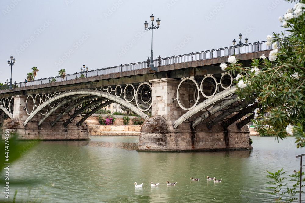 Photograph taken of the Isabel II bridge, Triana bridge, and the Guadalquivir river in Seville
