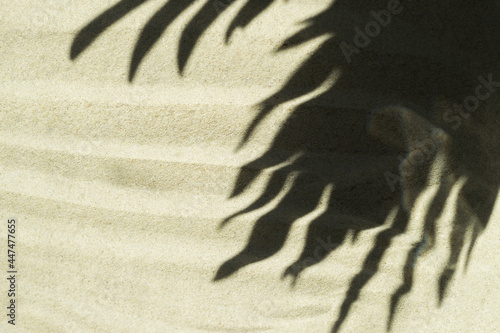 The shadow of palm leaves on beige clean sand. Minimalistic background. Beach vacation and travel concept
