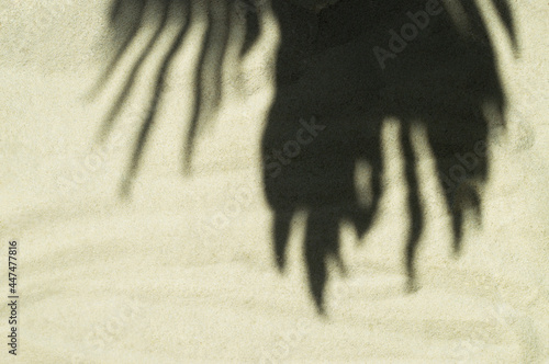 The shadow of palm leaves on beige clean sand. Minimalistic background. Beach vacation and travel concept