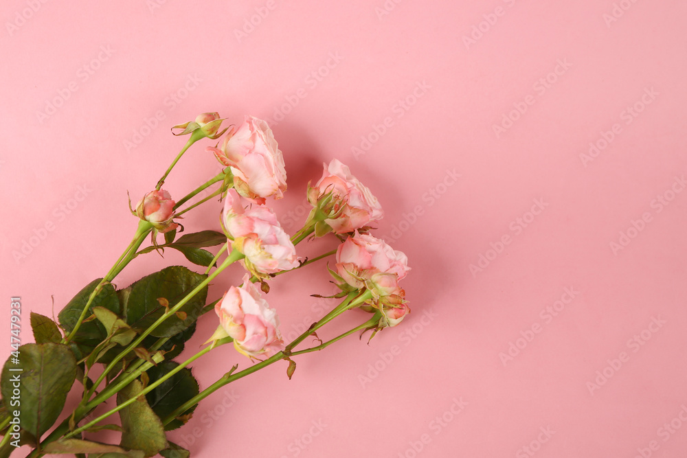 Bouquet of roses on pink pastel background