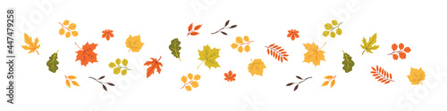 Autumn Leaves in a row. Hello Autumn. Set of autumn leaves, isolated concept. Vector illustration