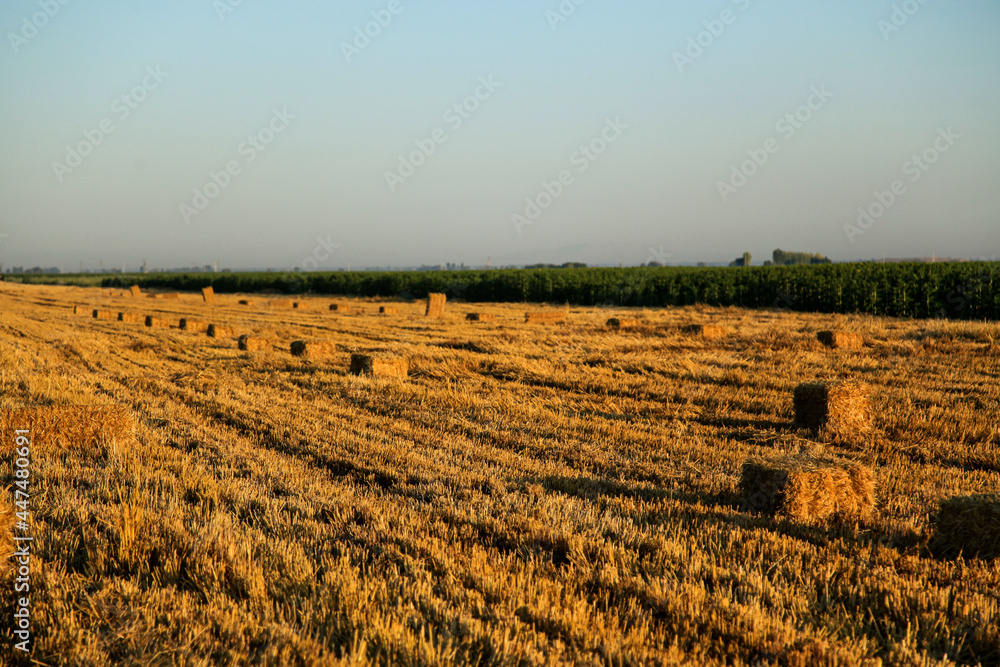 plowed hay field