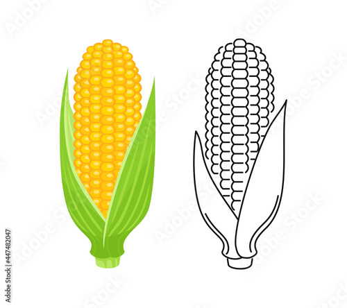 Maize color cartoon illustration and outline. Corn cob vector icon.