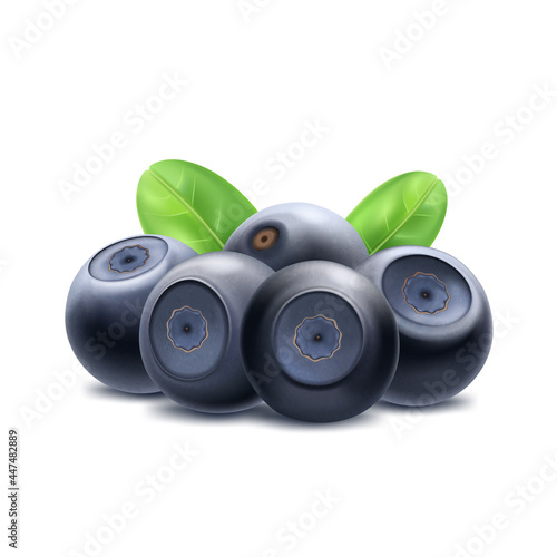 Bilberry (huckleberry, whortleberry or blueberry), with leaf, wild forest berries, ripe juicy fruit, healthy food. Vector icon.
