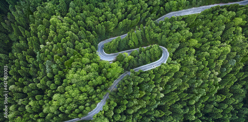 Aerial View of a road on a forest © Li Ding