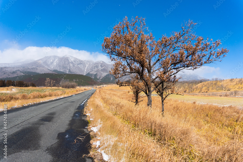 Fototapeta premium landscape with road