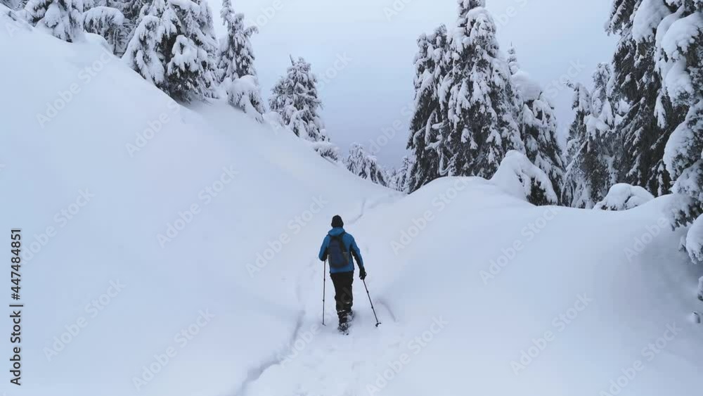 Tourist in a jacket, snowshoes and walking sticks walks along the trail on a winter hike. Tourist in a jacket, snowshoes and walking sticks walks along the trail on a winter hike.