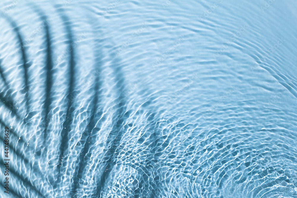 Water background. Blue aqua texture, surface of ripples, transparent palm leaf shadows and sunlight. Spa concept background. Flat lay, top view, copy space, banner Water background. Blue aqua texture, surface of ripples, transparent palm leaf shadows and sunlight. Spa concept background. Flat lay, top view, copy space, banner