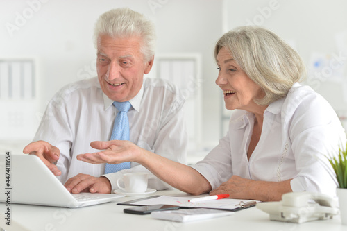 senior couple working together in office