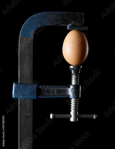 egg squeezed by a vise