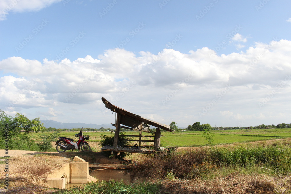 Fototapeta premium The scenery around the fields.