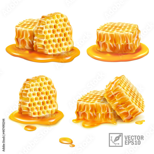 3d realistic isolated vector set with honey, honeycomb pieces in various versions