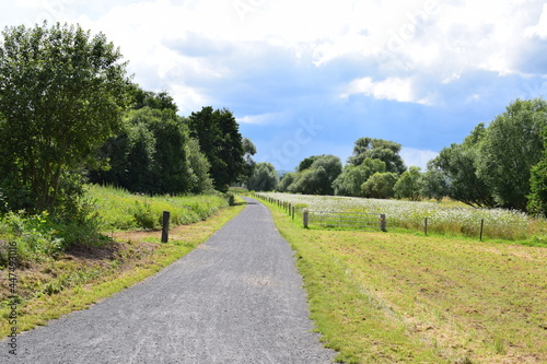 Schotterweg durch das Naturschutzgebeit Th  rer Wiesen