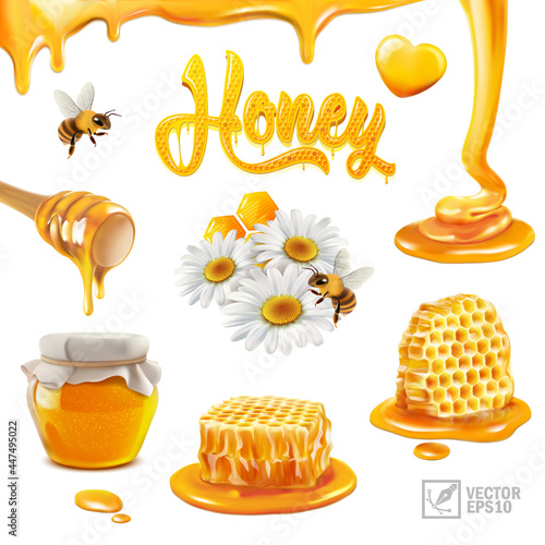 3d realistic vector set with honey, pieces of honeycomb, flying bee, chamomile flowers, propolis, flowing liquid on a stick, puddles and drops of honey, an text inscription in the form of a beehive