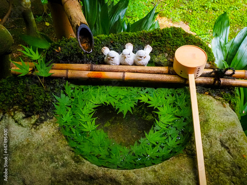 【京都府】柳田観音 楊谷寺の青もみじ