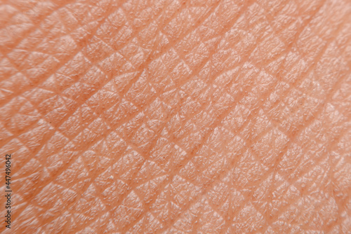 close-up photo of human skin
