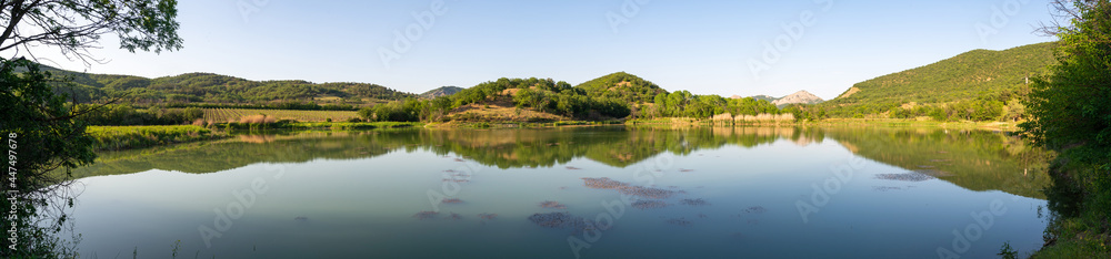 Small lake in the forest, panorama