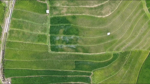 aerial panorama of agrarian rice fields landscape in the village of Semarang, Central Java, like a terraced rice fields ubud Bali Indonesia photo