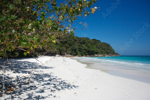 Seaside with white sand and tree