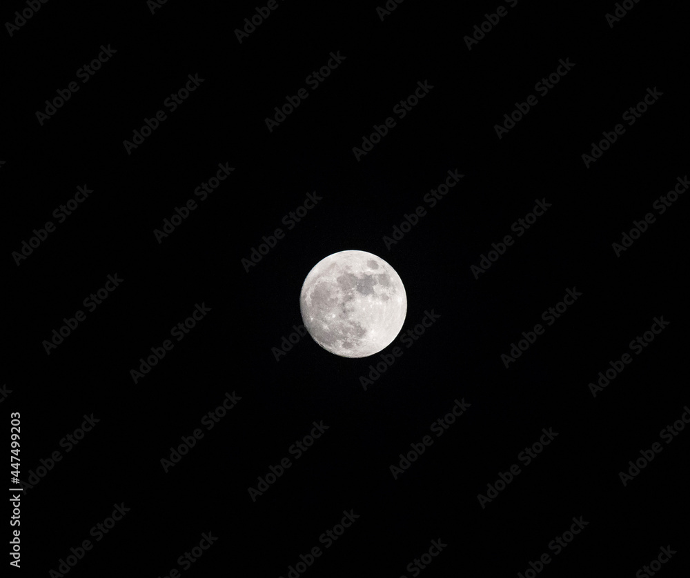 Moon Moon