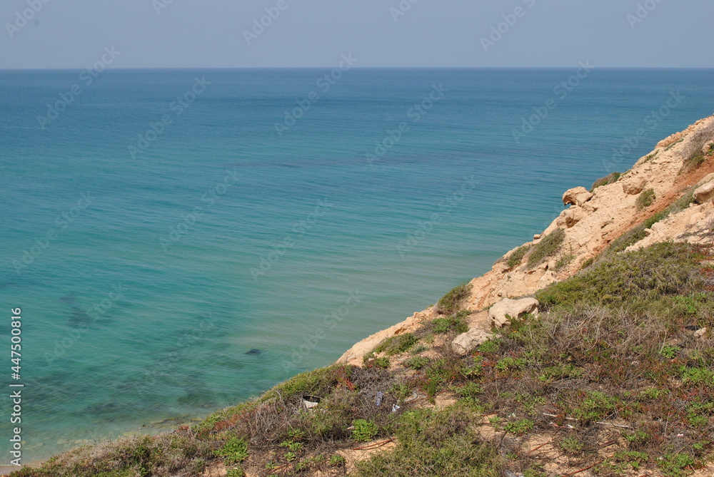 Beautiful seashore in summer. Calm blue sea landscape. Stony and sandy seashore.  Flowers  on rocky cliff. Sunny seascape. Netanya city, Israel