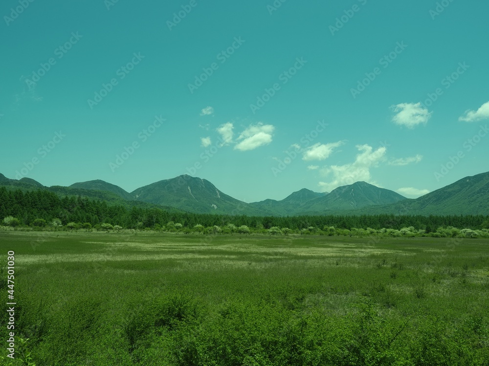 Obraz premium Walk through Senjogahara in early summer