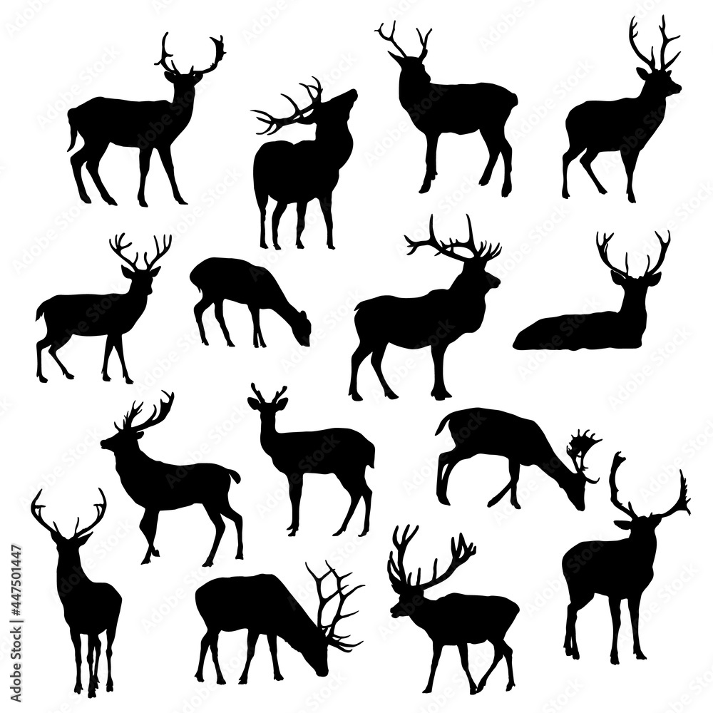 Fototapeta premium Collection of silhouettes of Deer vector Illustration Eps 10
