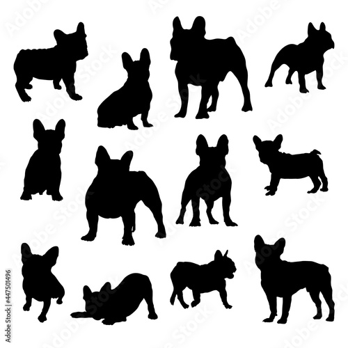 Collection of french bulldog Silhouette vector Illustration Eps 10