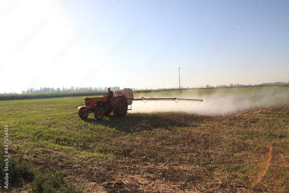 Fototapeta premium agricultural machine in the field