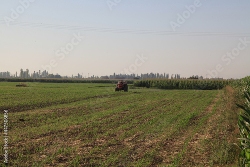 agricultural machine in the field