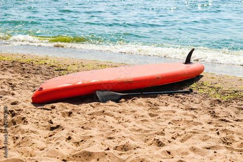 A red board for sup boarding with a paddle lies on the seashore.