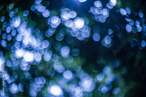 Bokeh blurry green and white from the light shines through the leaves from the high angle. Cause light circle in a circle