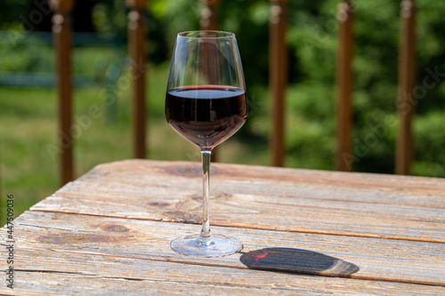 Glasses of red and pink wine with shadows over green garden background.