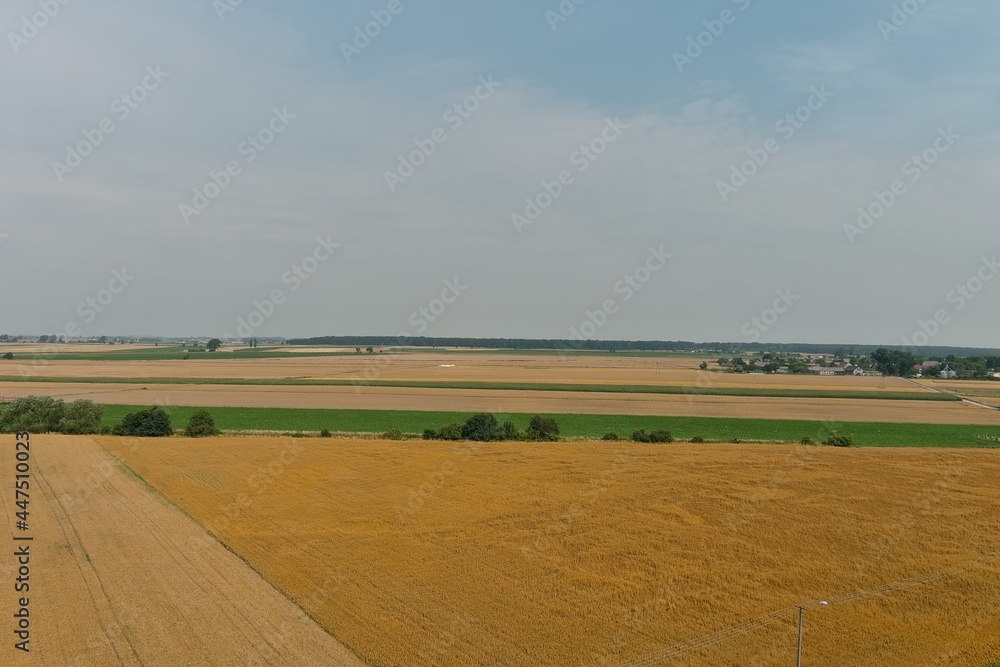 Obraz premium landscape with a windmill