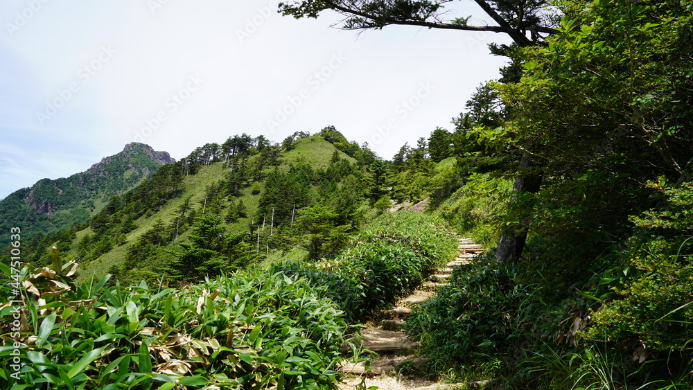 Fototapeta premium 石鎚山 登山道の風景