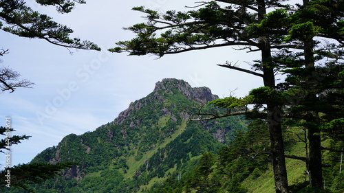 石鎚山 登山道の風景 photo