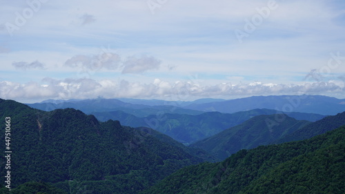 石鎚山 登山道の風景