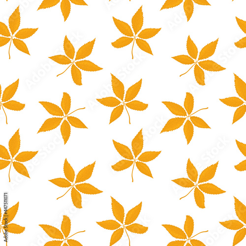 vector pattern with autumn leaves on a white background © NataSao