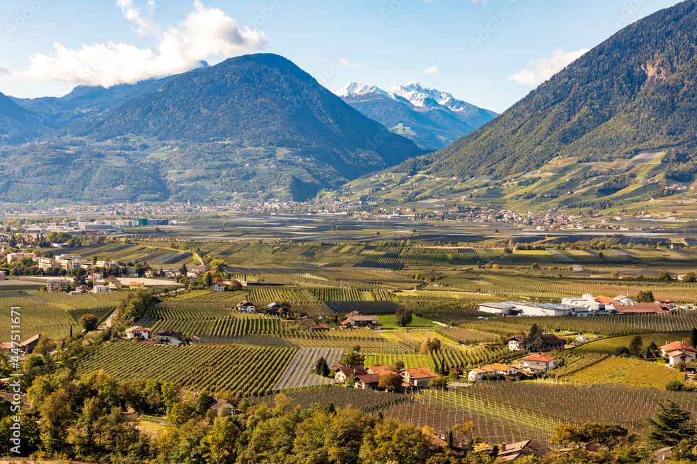 panoramic view of vineyard and apple orchard in the mountains  at Merano. Italy